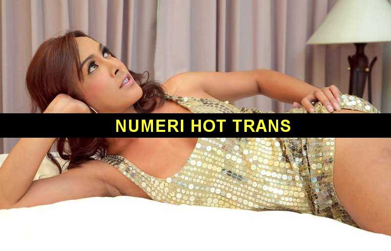 Numeri hot trans